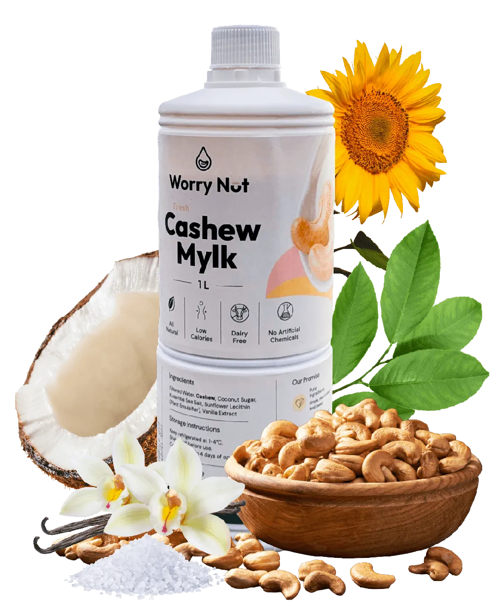 Worry Nut ingredients: fresh cashews, coconut, Kusamba sea salt, and vanilla